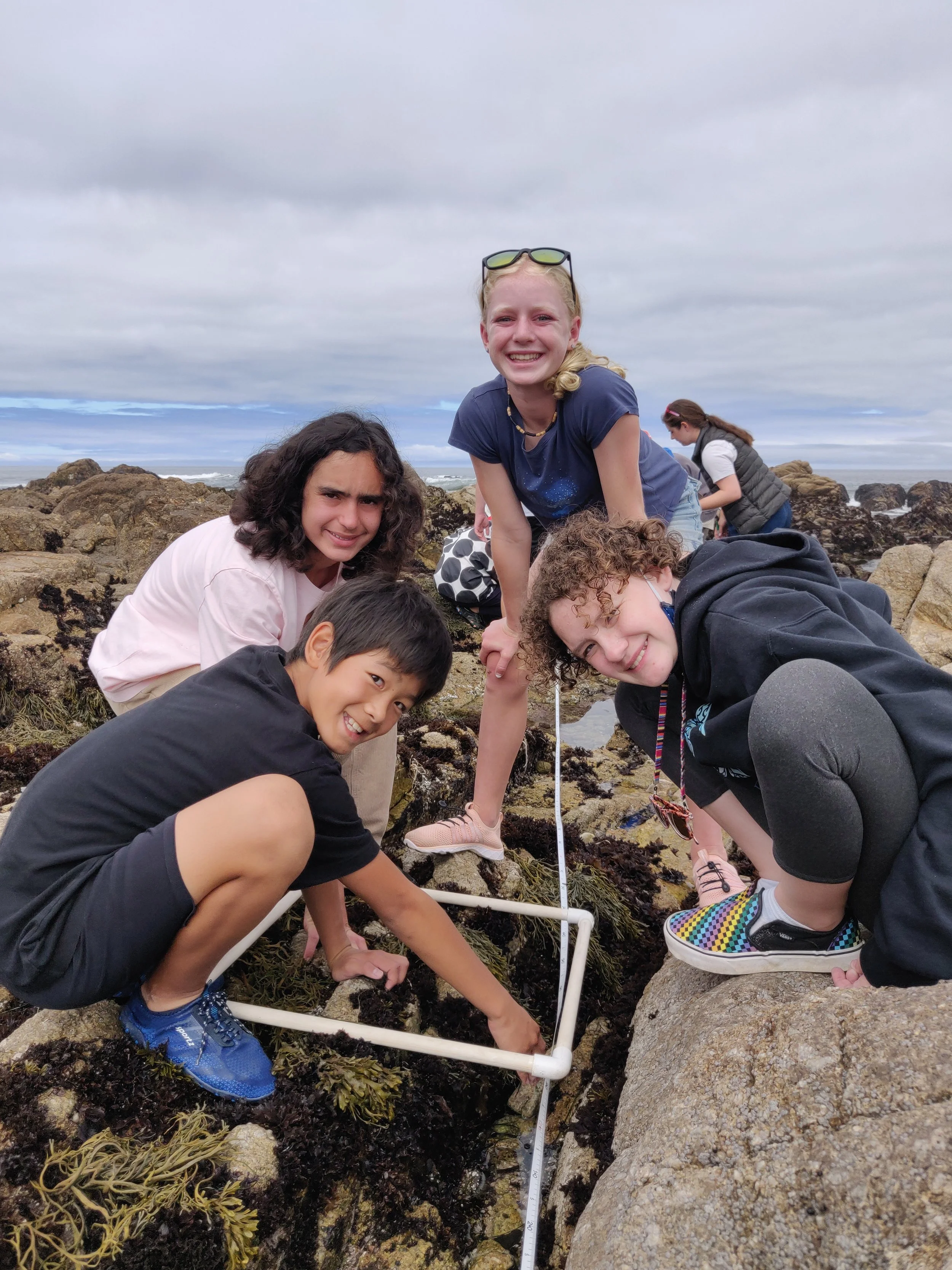 NorCal Summer Camps for Kids — Web of Life Field (WOLF) School